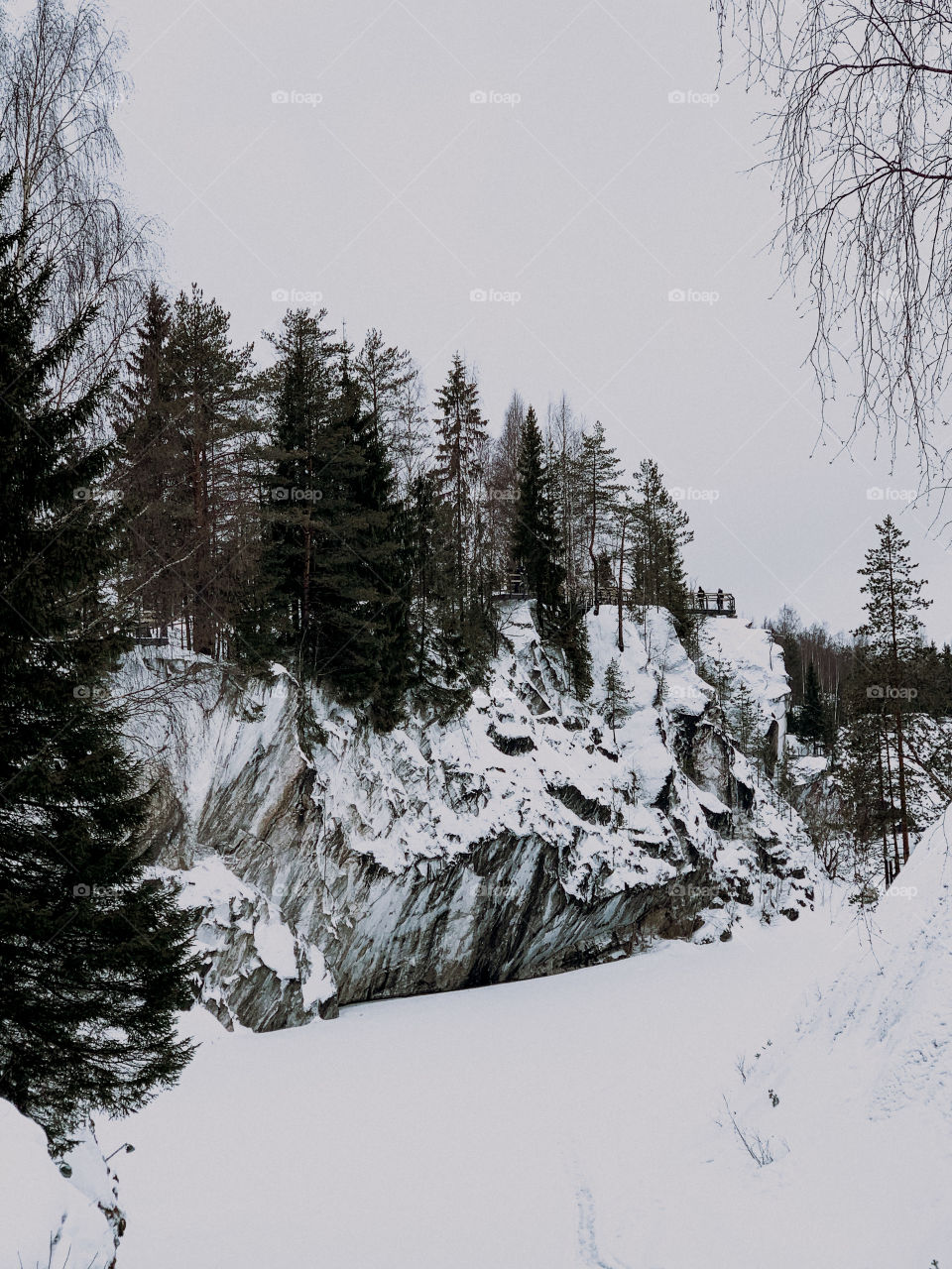 winter woods, winter time, snow, beautiful nature, cold weather 