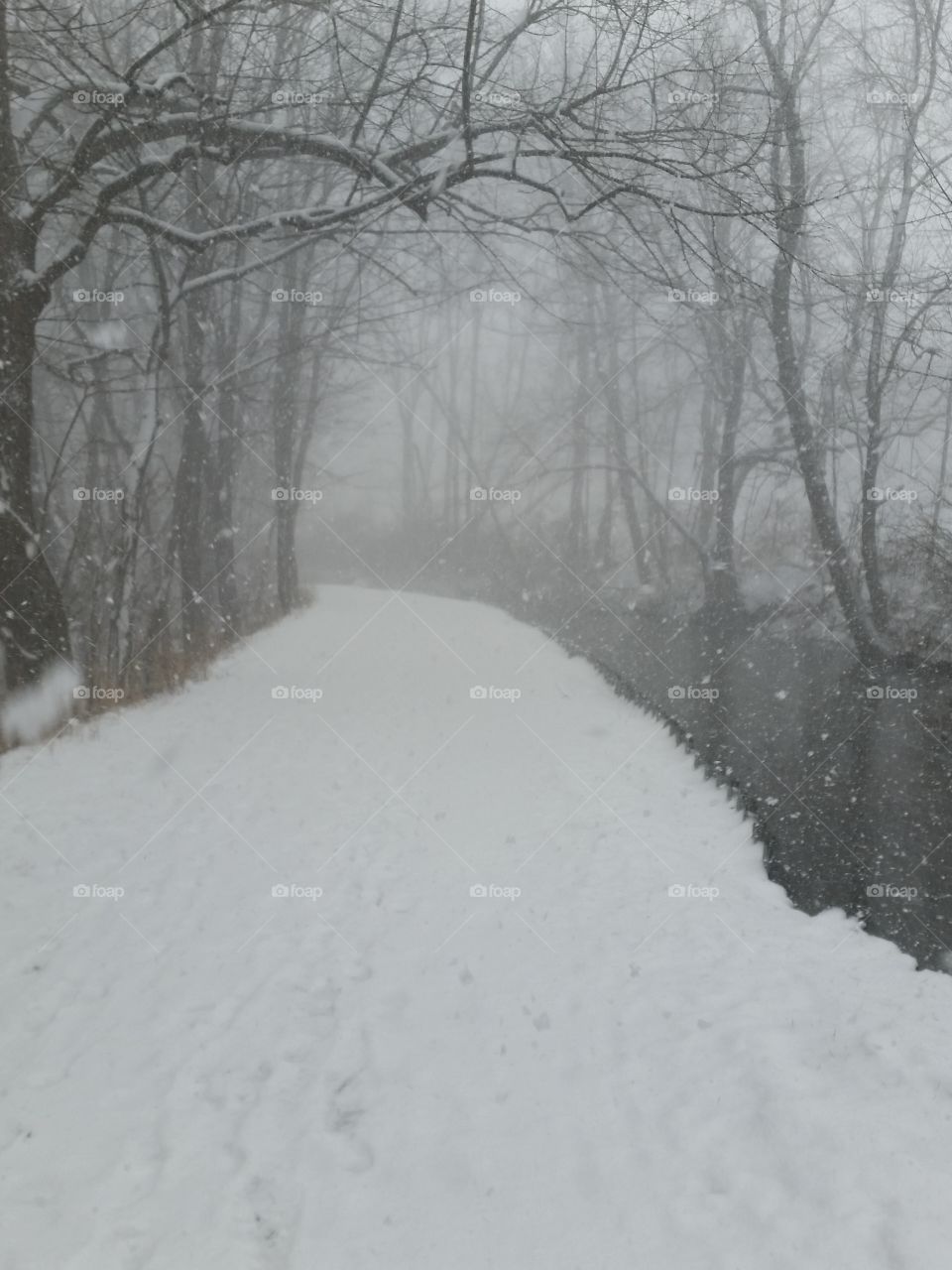 Peaceful, but a Very Cold Walk