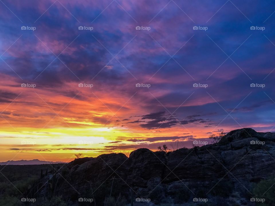 Desert Landscape - Sunset 