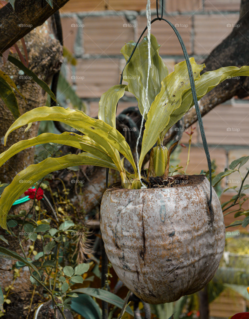 Use caqueiros ecológicos 