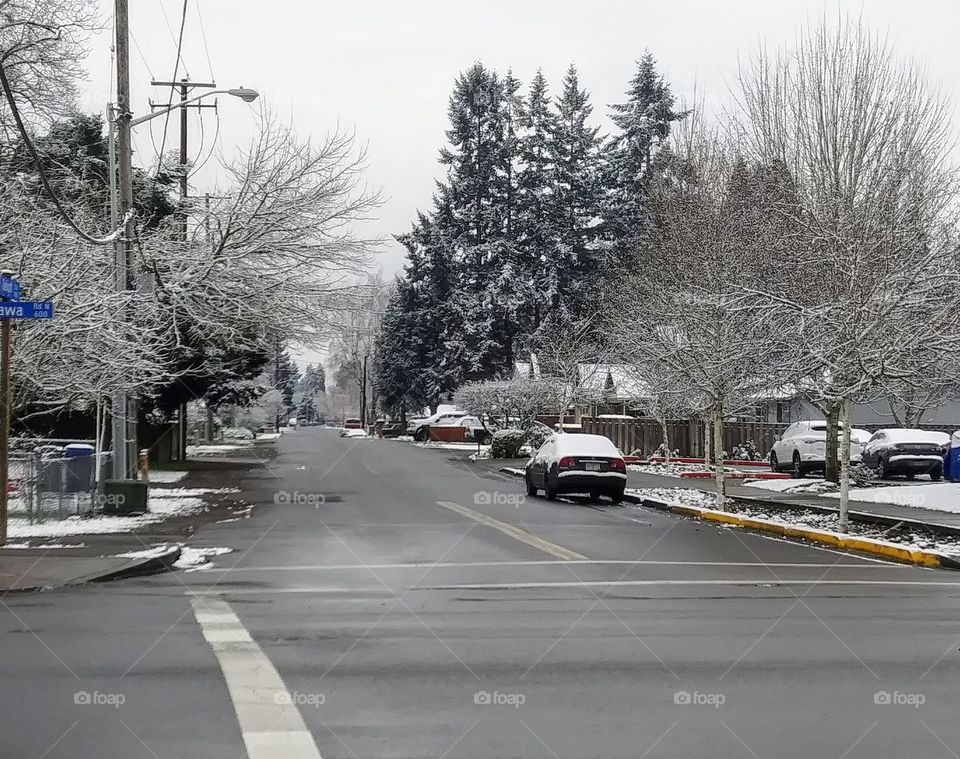 street after snowfall