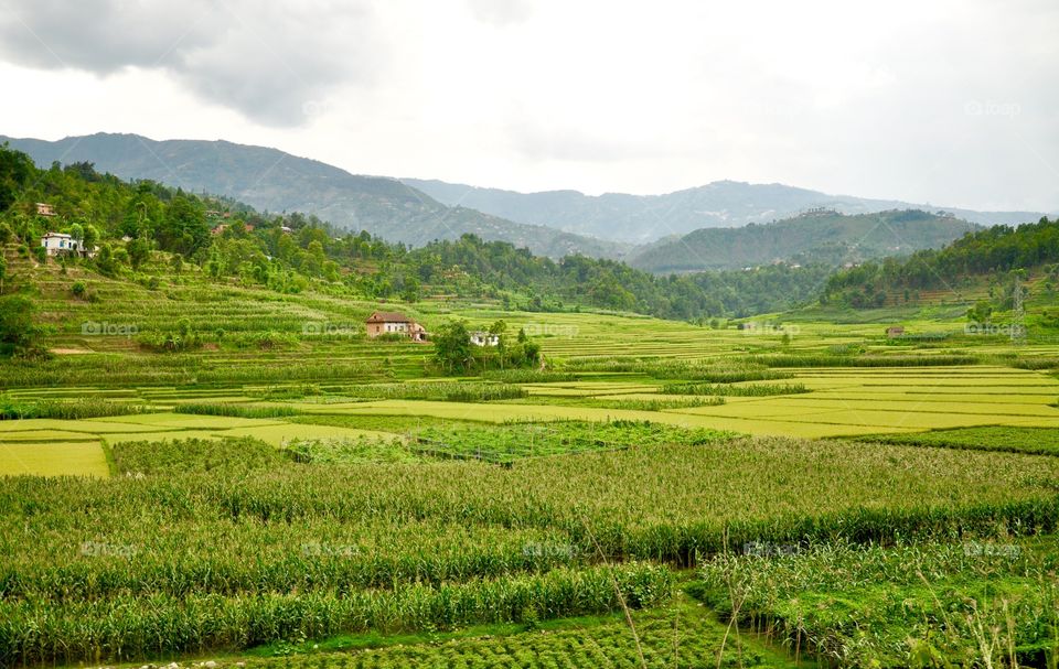 Nepalese landscape 