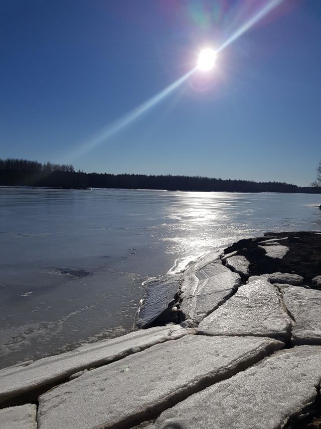 nature