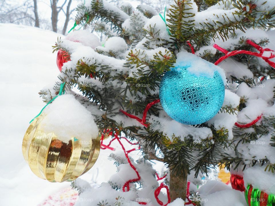 dressed Christmas tree toys in the park, Kiev