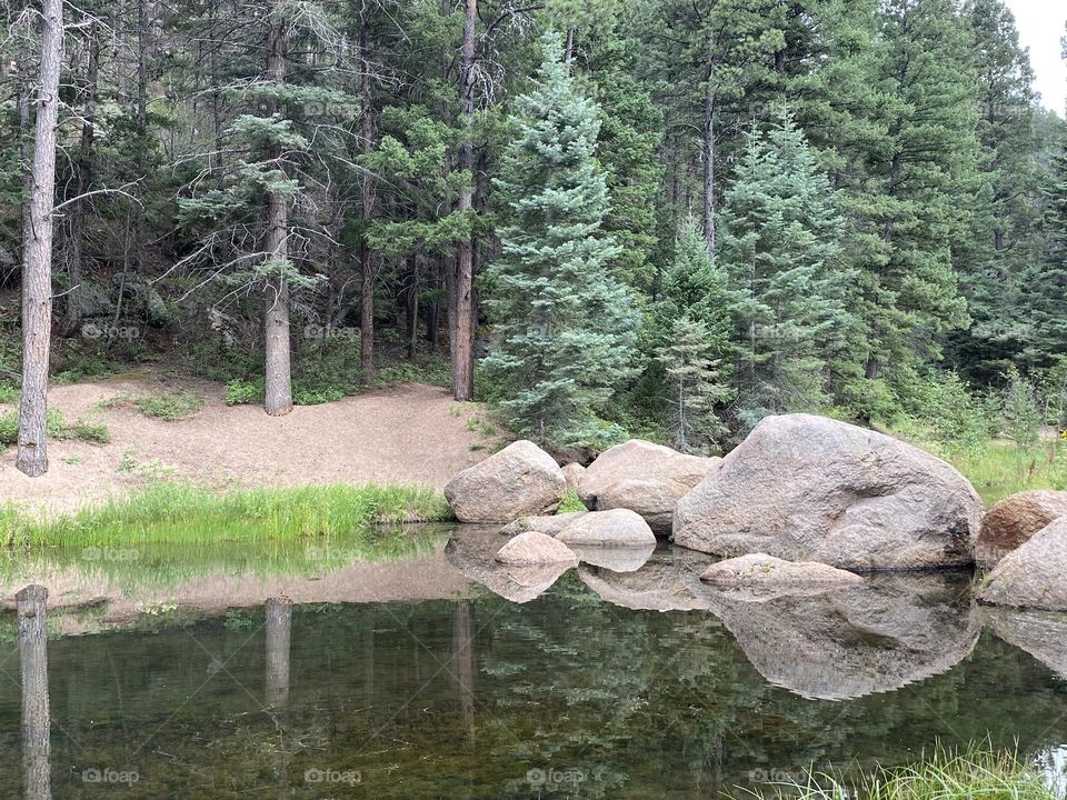 Rocks and trees reflections seen in this calm pond. 