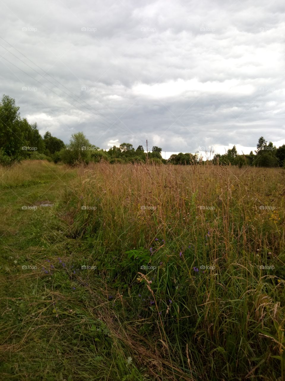 природа России