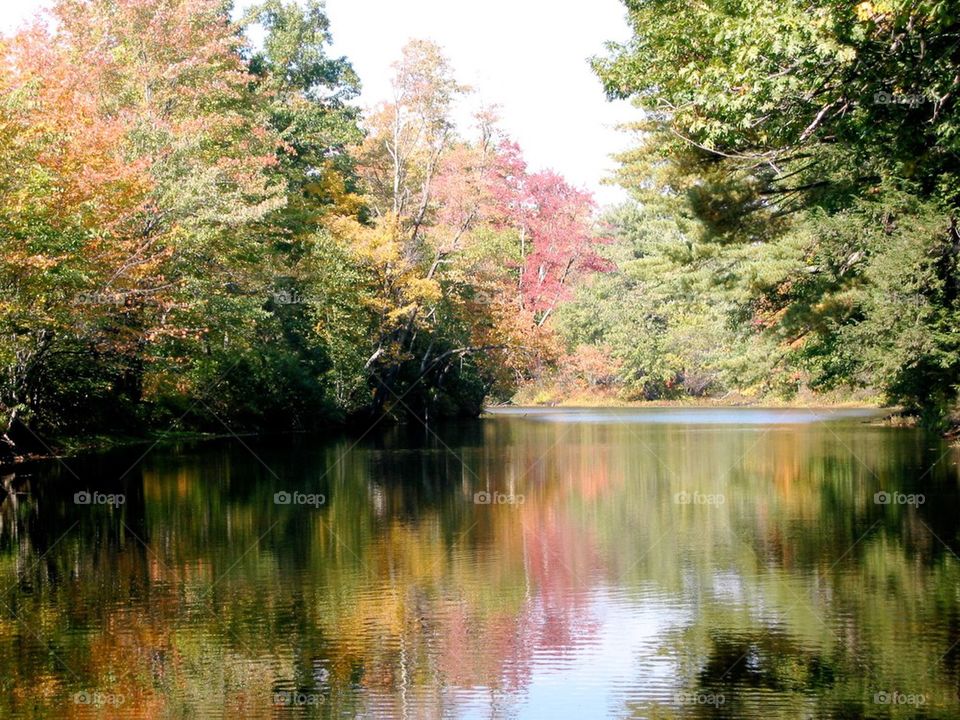 Reflections of fall colours 
