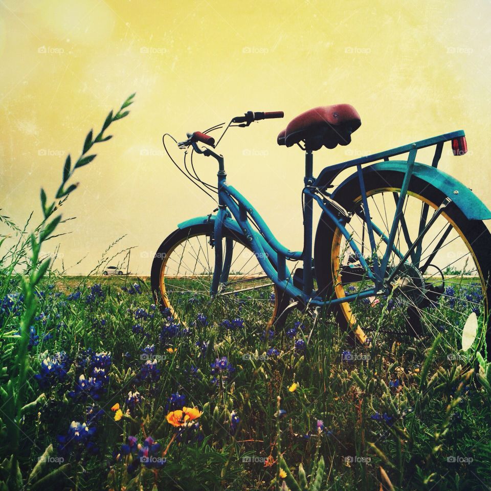 Bicycle parked in meadow