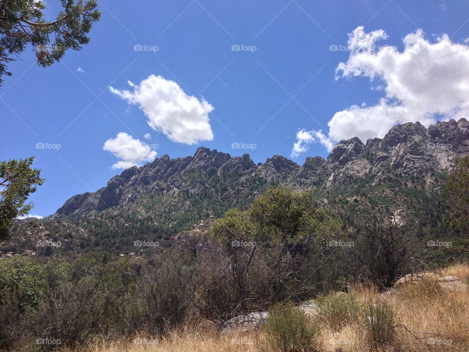 View upwards to the eastern side of the Organ Mountains.