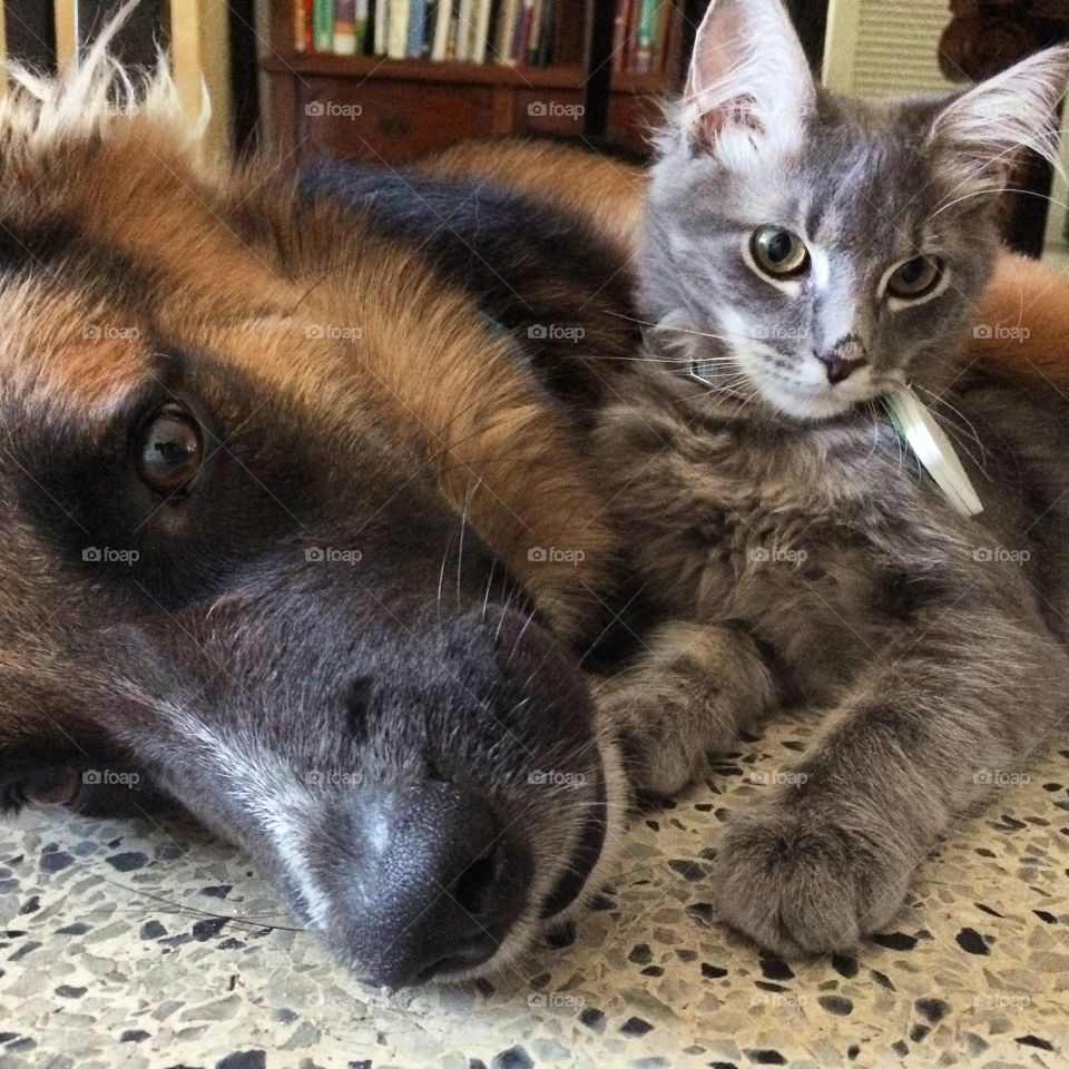 Lotso and Happy are the best of buds