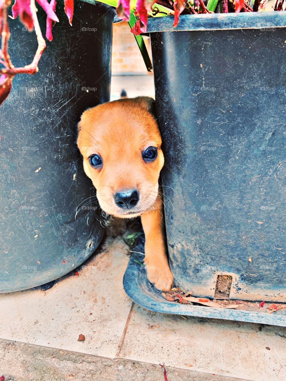 little shoko runs from everyone! when he thinks you are not looking he comes from nowhere! lol 🙈