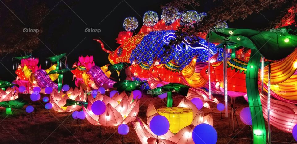 ILLUMINATION of Lights