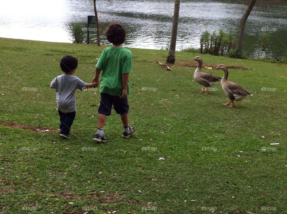 park duck brazil paulo by riksen