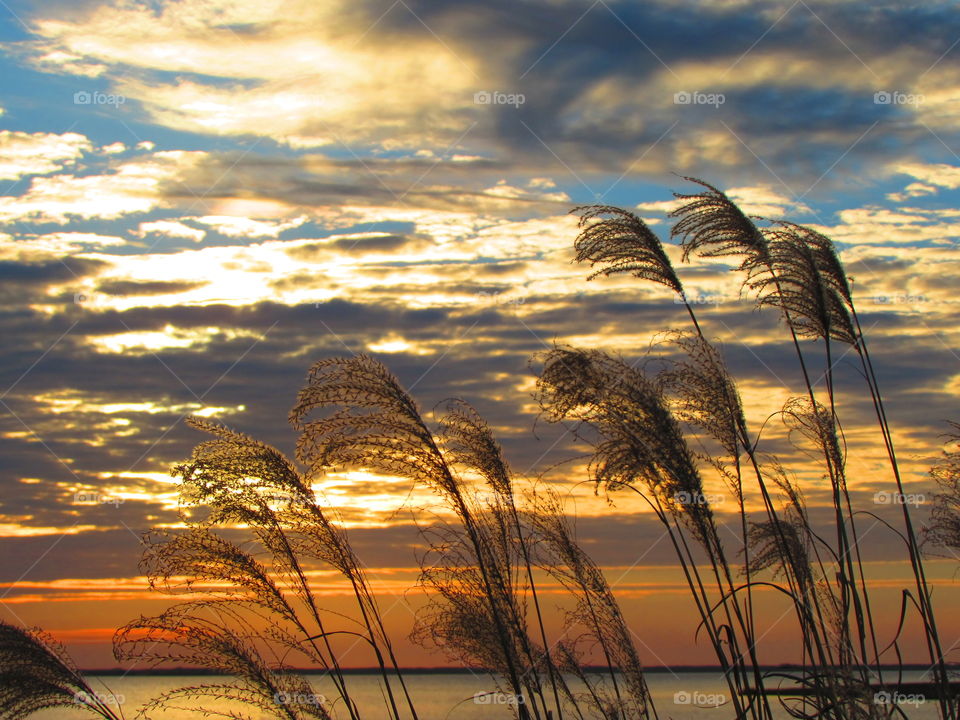 beauty in the sky. a peaceful morning