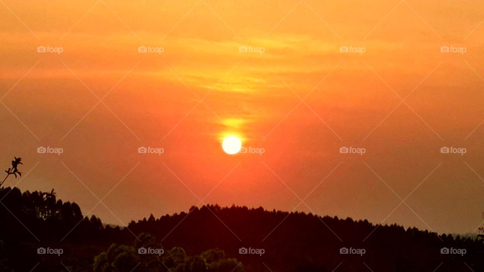 Orange Color History-Por do Sol