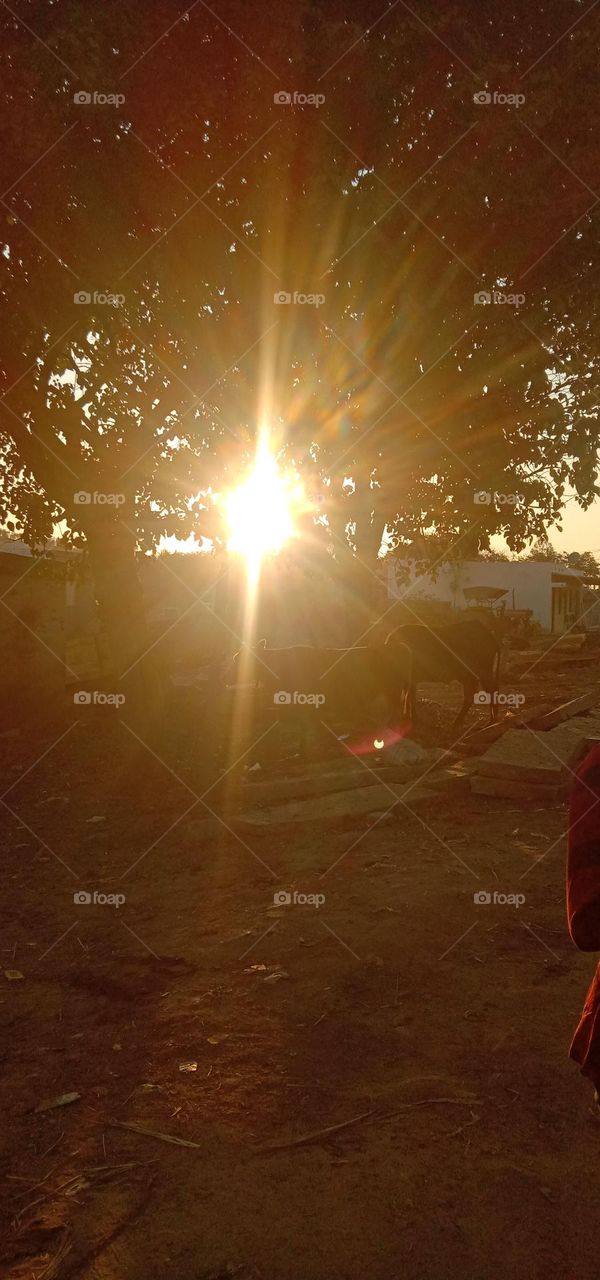 Hello Sunshine 🌞❤️✨