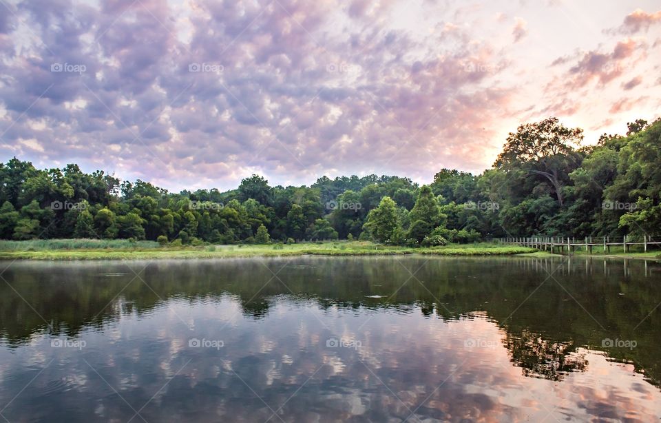 Pond with blue skies