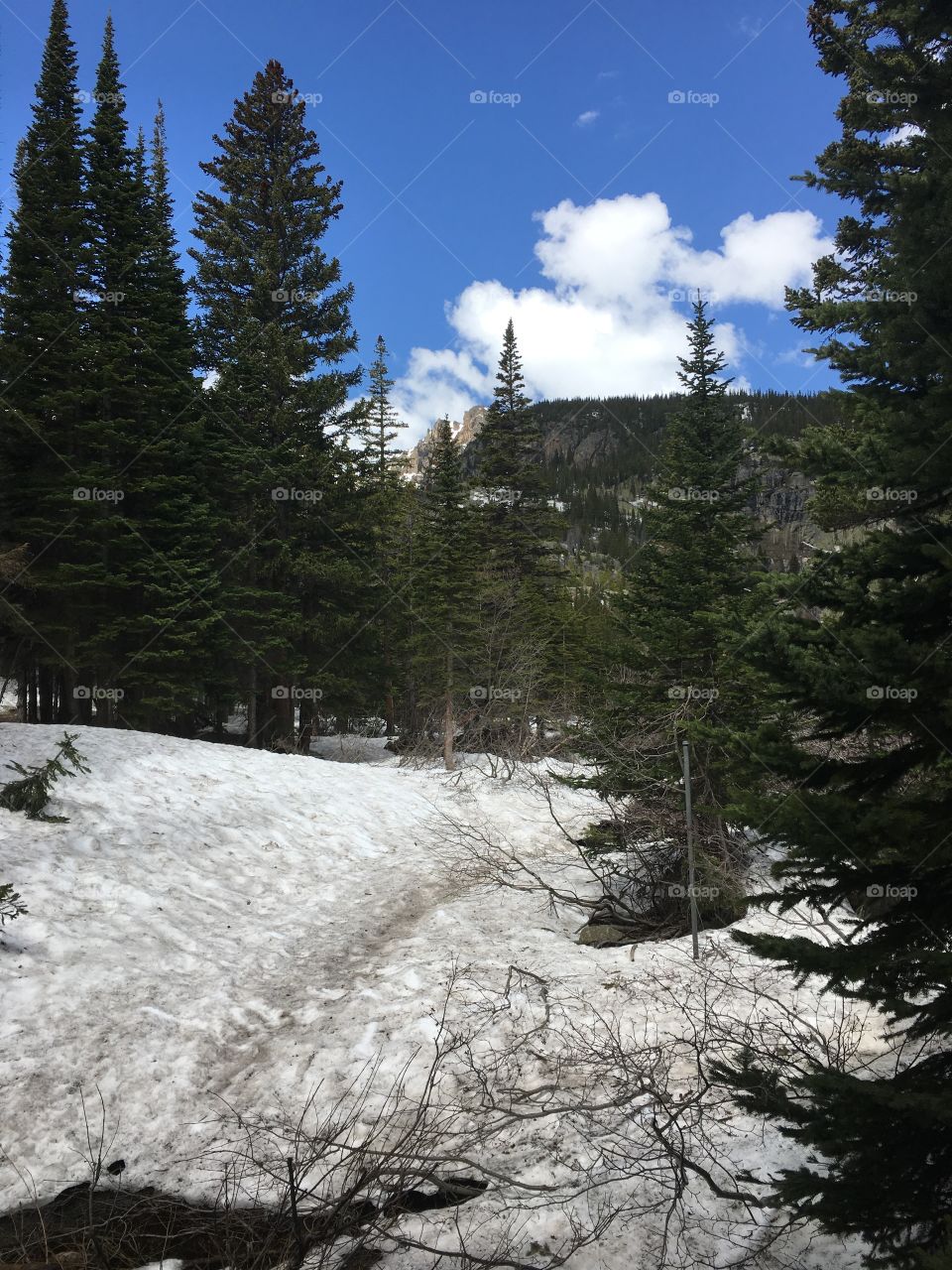 Snow in July 