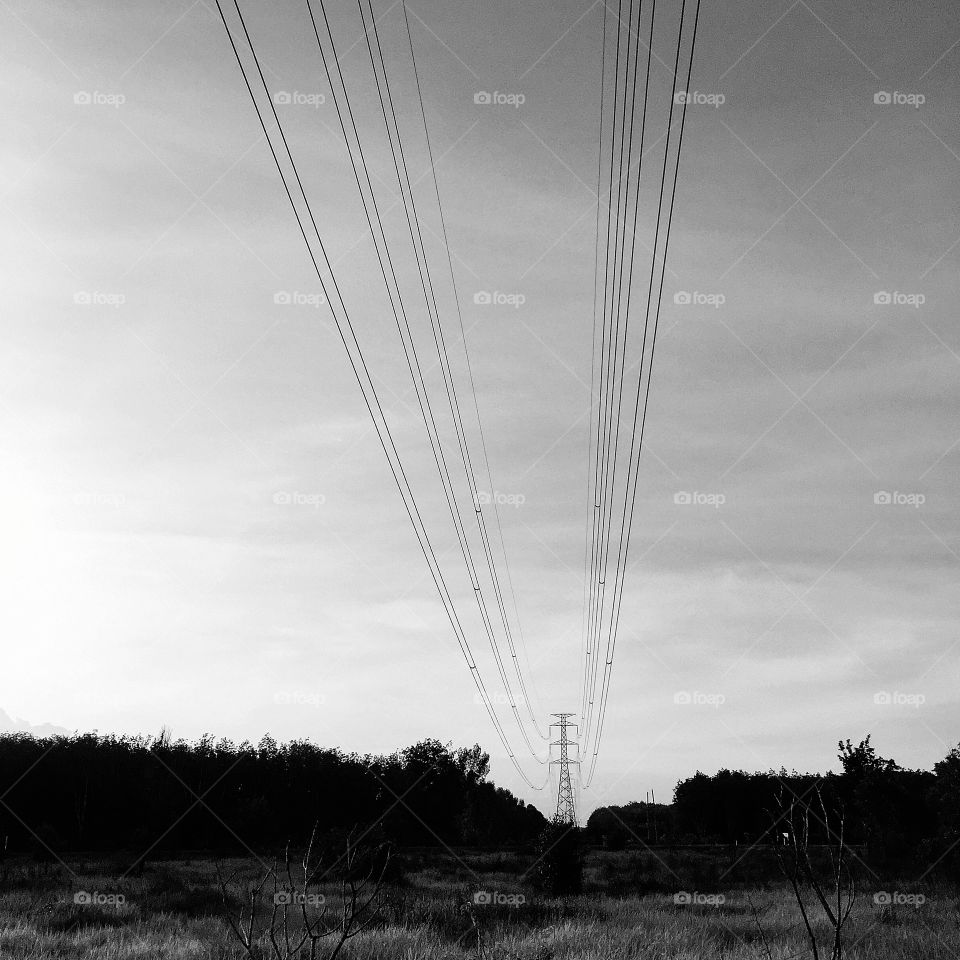 Black and white shot: electricity pylon