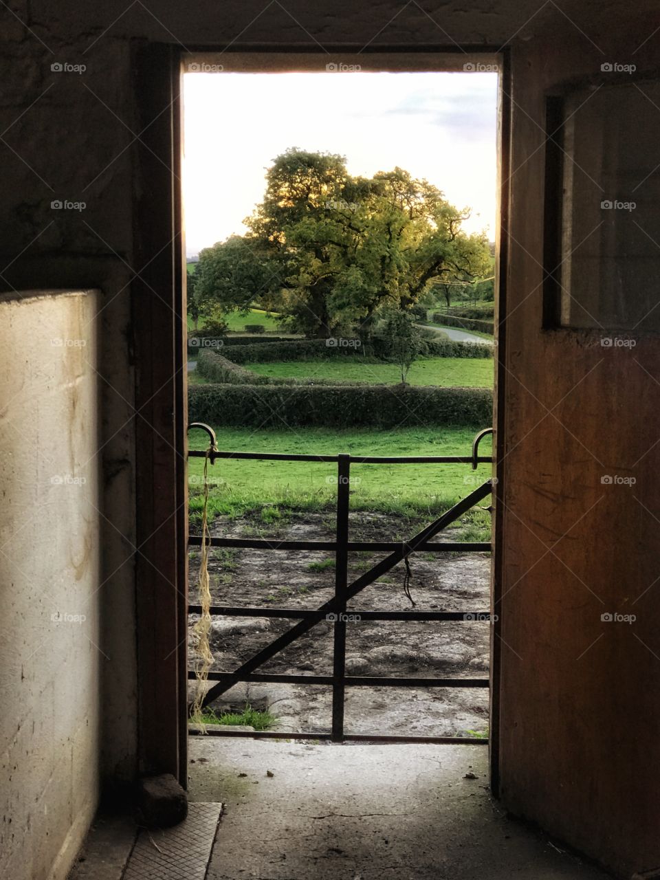 Looking out a barn door at the countryside. 