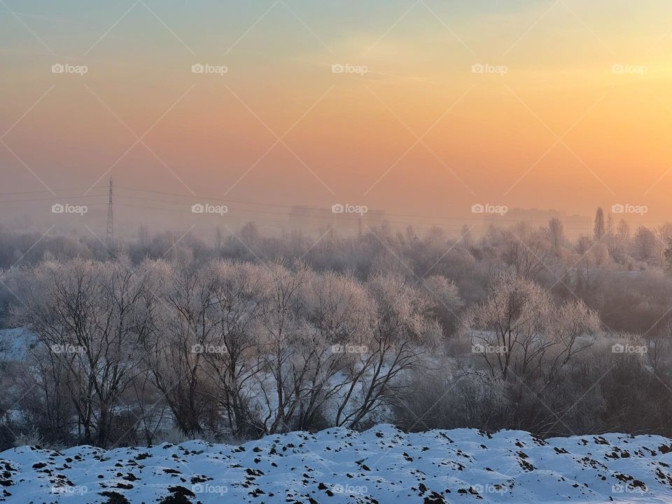 Foggy morning in mild colours