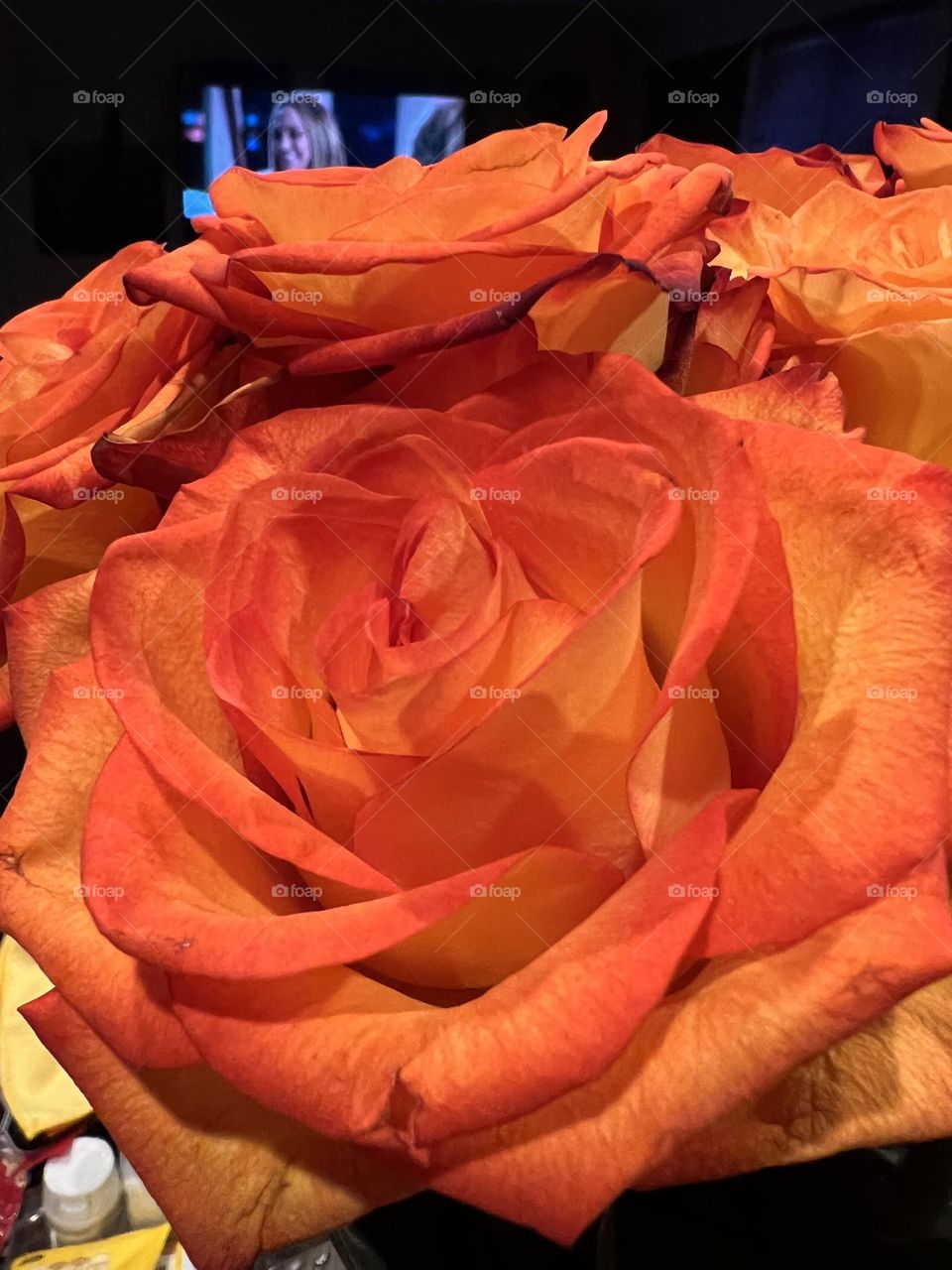 Orange Roses with different shades of orange 