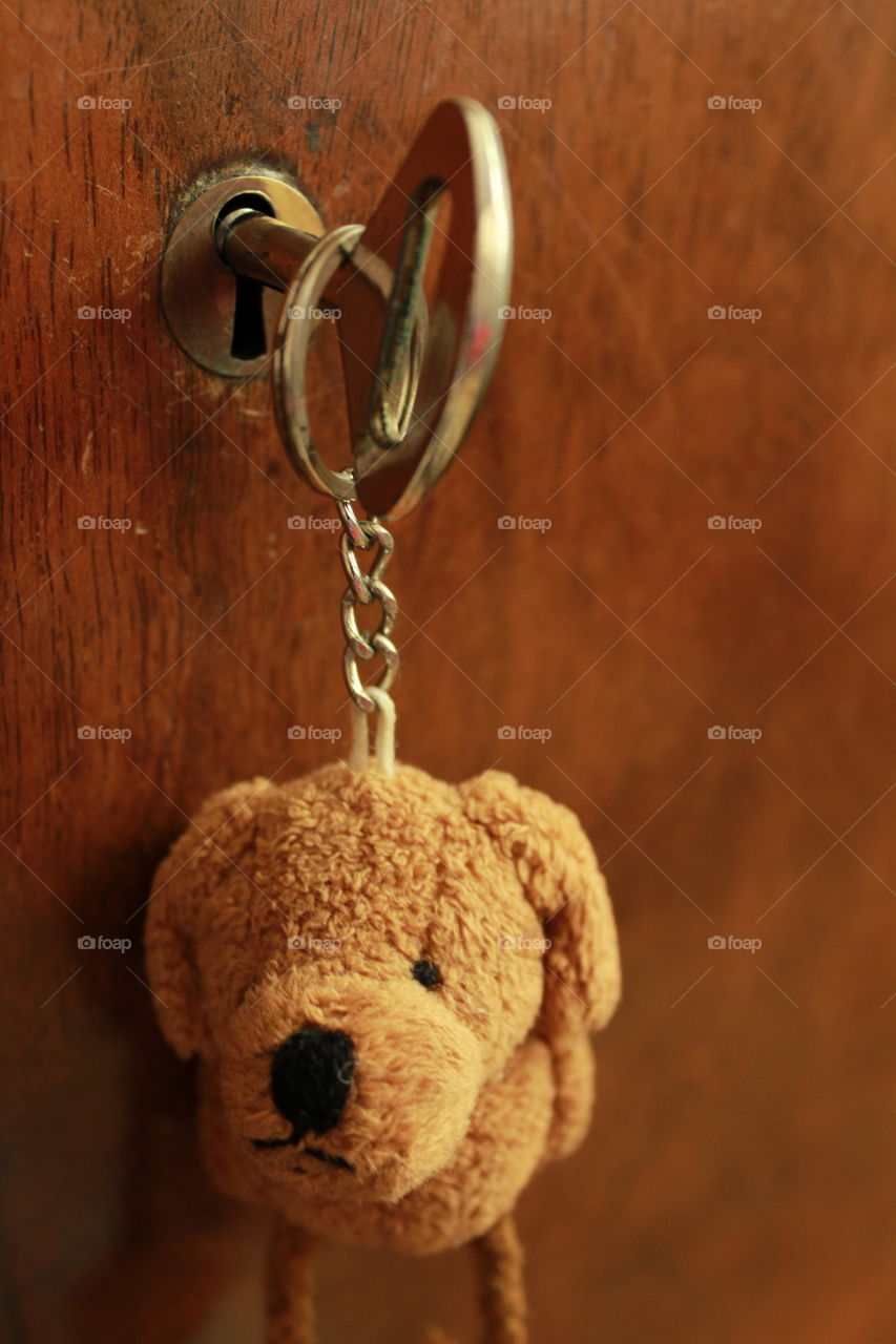 dog toy keychain hanging on the closet door