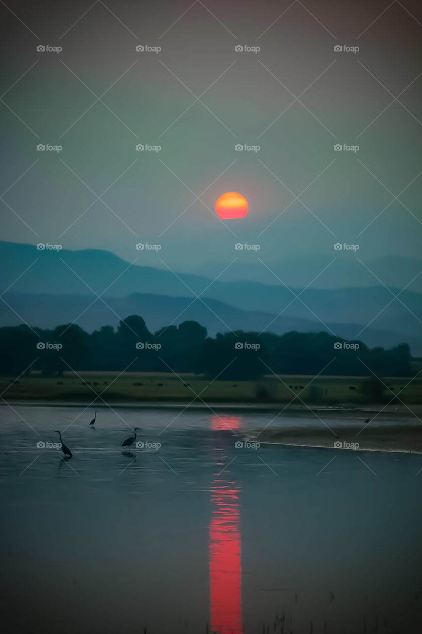 Grass Fire Hazy Sunset