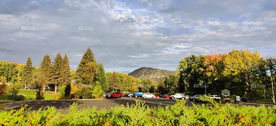 Autumn landscape