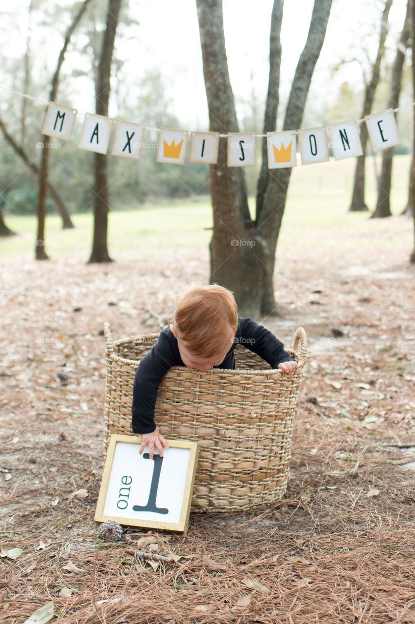 First birthday photo shoot 