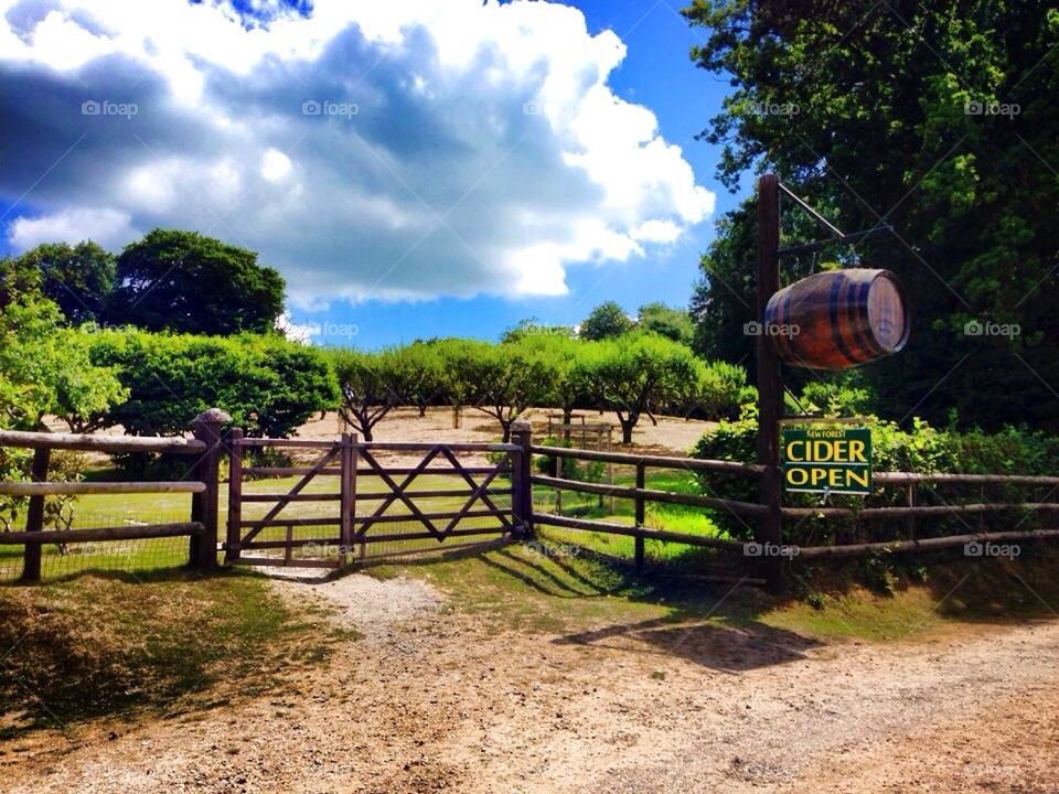 New Forest, Cider Farm.