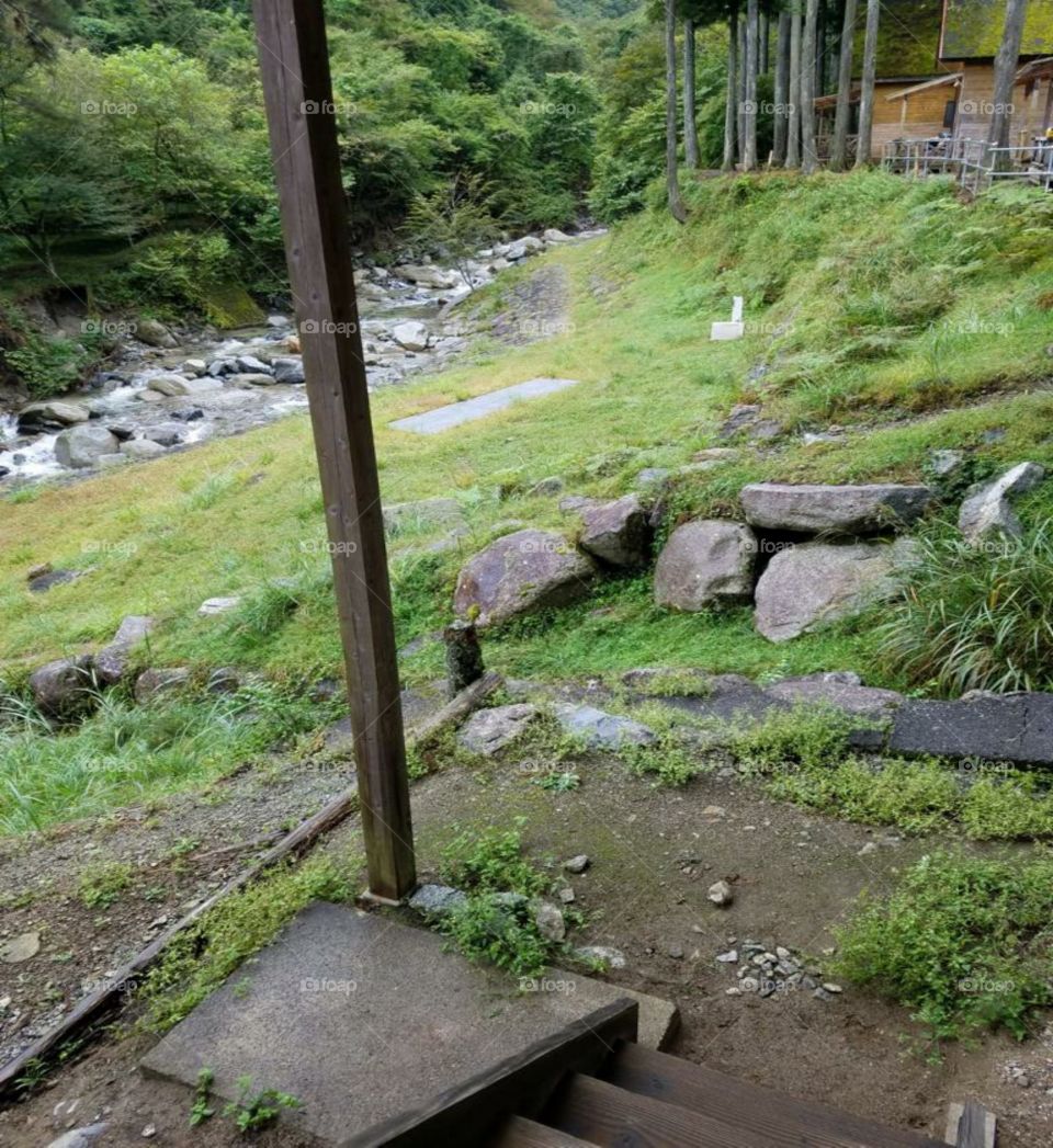 amazing natural view of beside the farmhouse