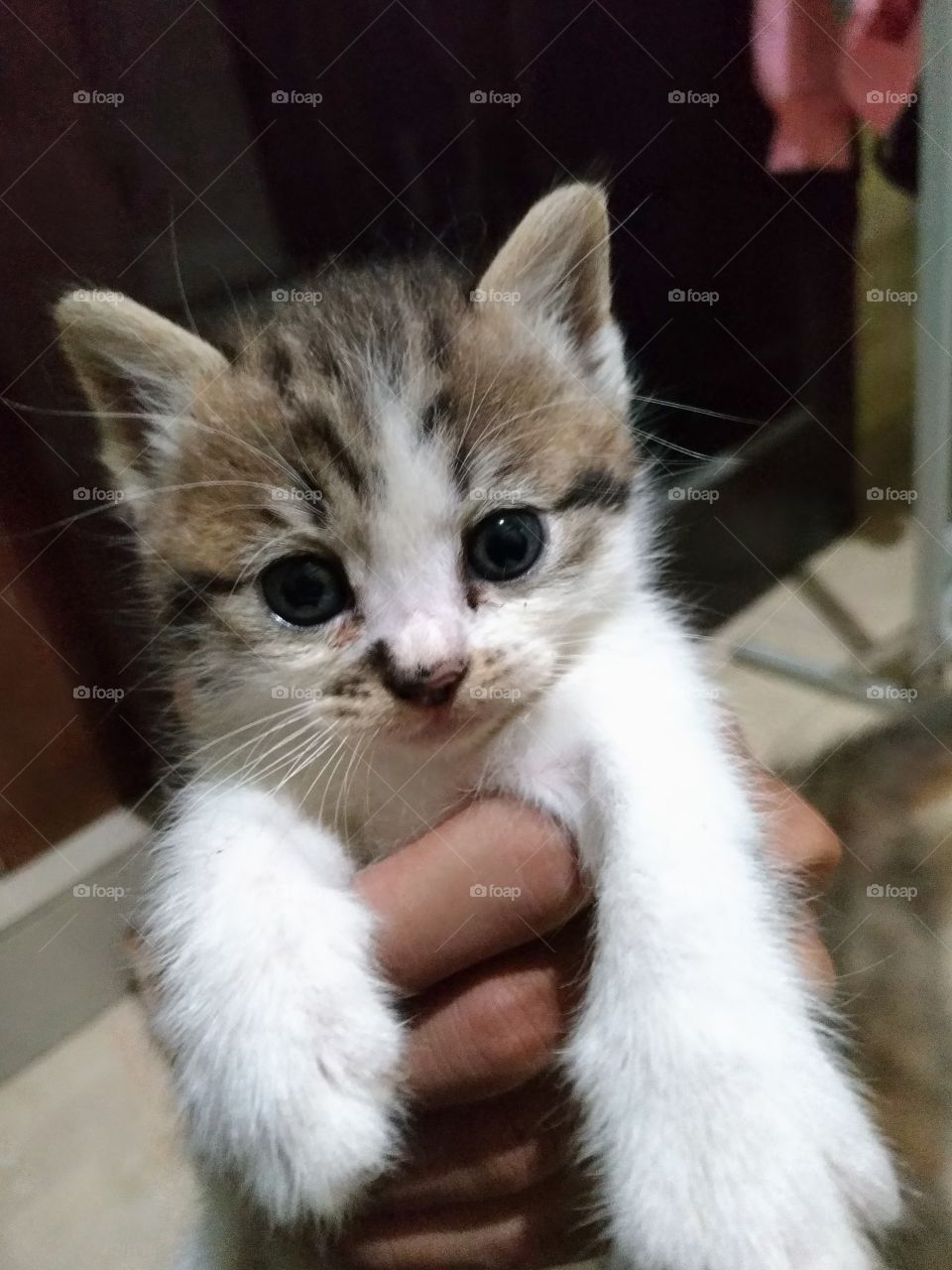 His eyes illustrate something