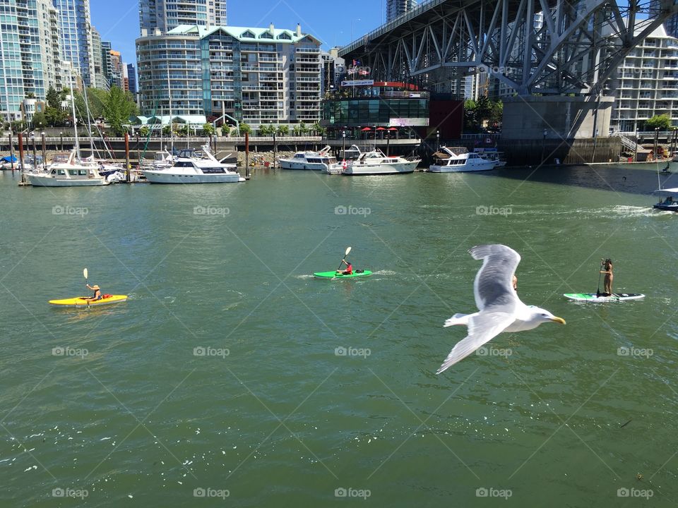 By the harbour