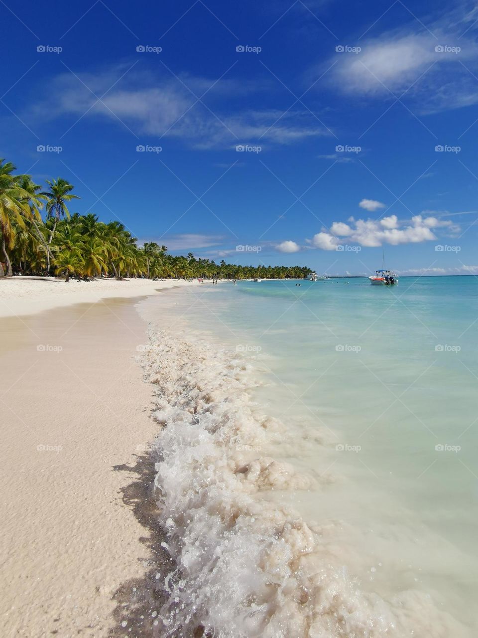 Seashore, beautiful beach, Saona Island, Dominican Republic, amazing seascapes.