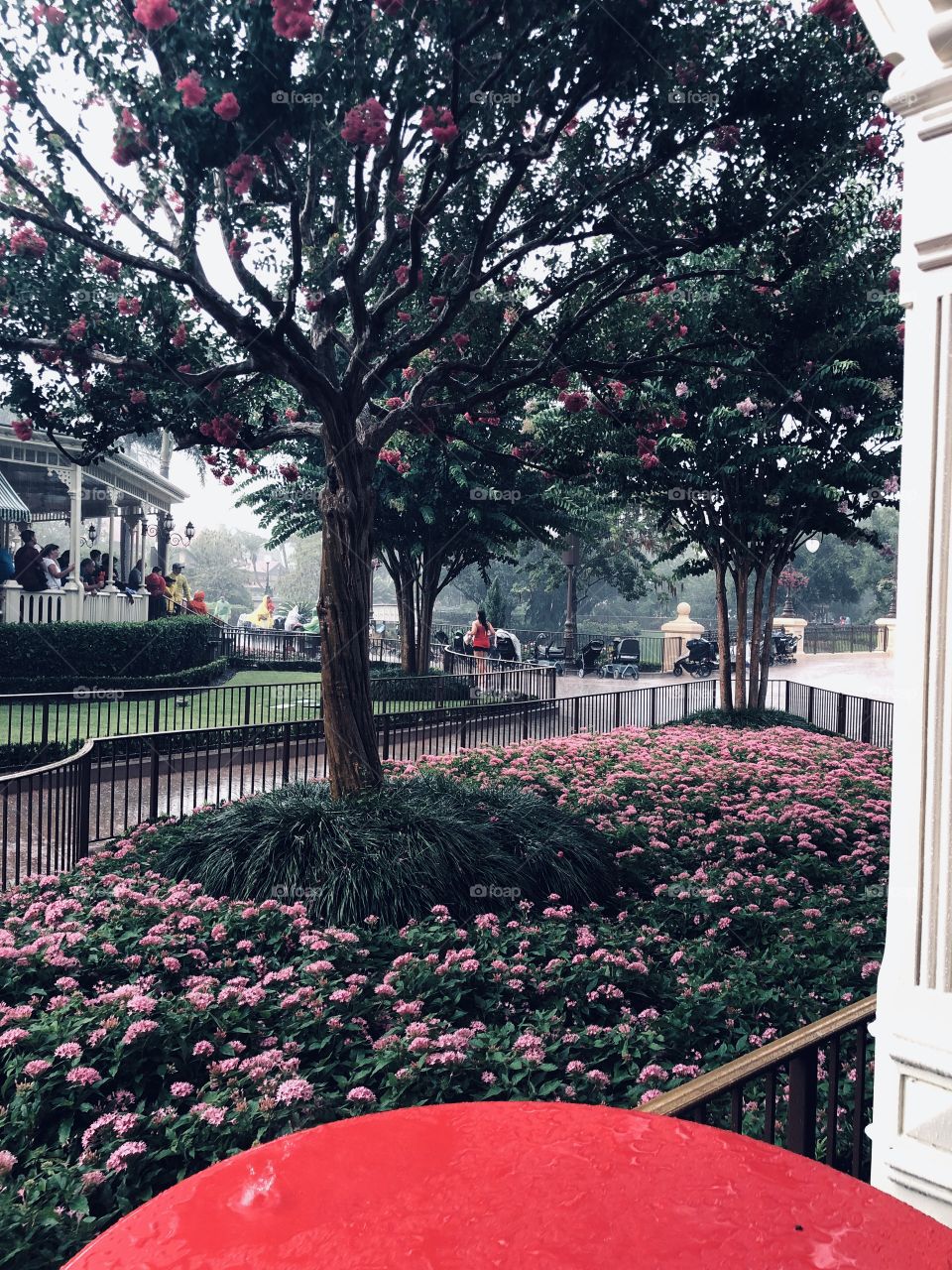 Even the gloomy days brings beauty. 