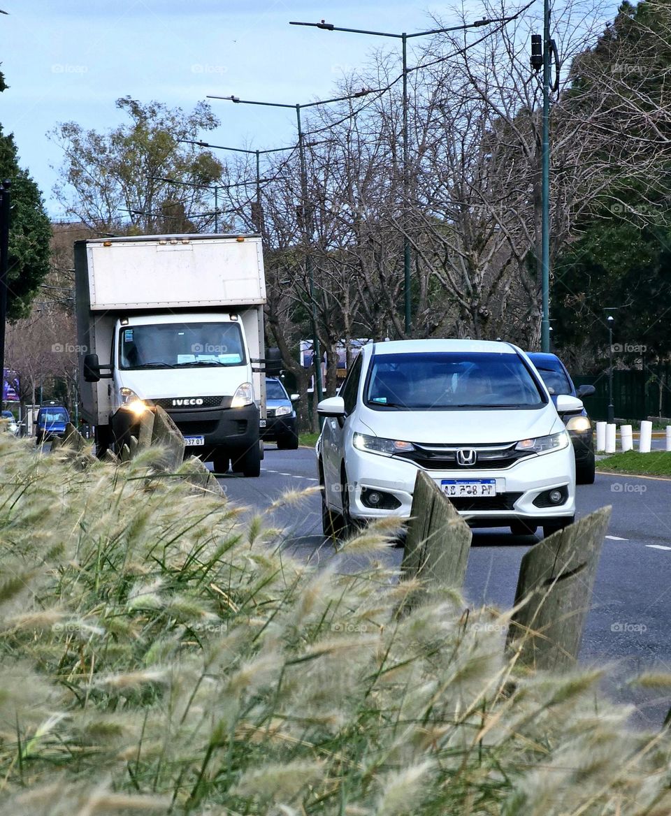 Morning traffic, cars and truck advance on tree lined street