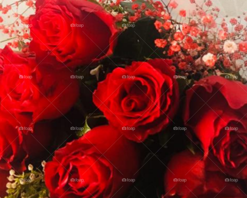 Beautiful red flowers 🌺