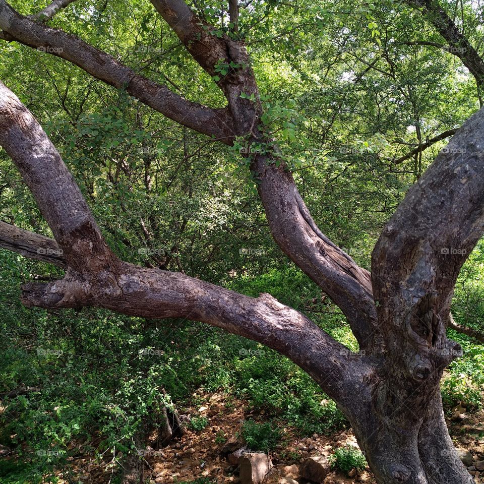 true nature, no filters #tru...