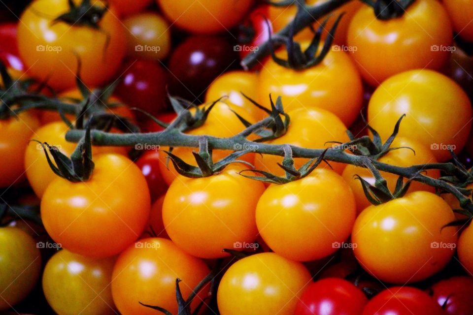 Cherry tomatoes scene 
