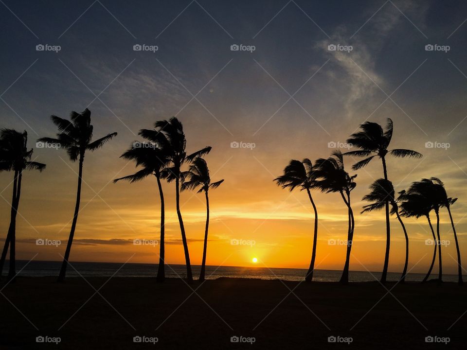 Hawaiian sunset. Sunset on west side of Oahu 