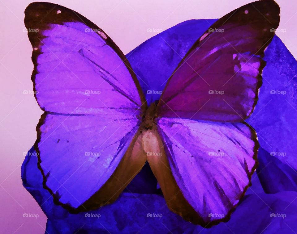 Very purple butterfly abstract 