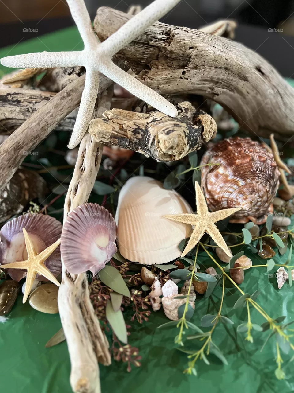Sea Shell Table