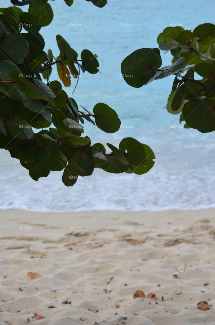 Tortola: Hidden Beach