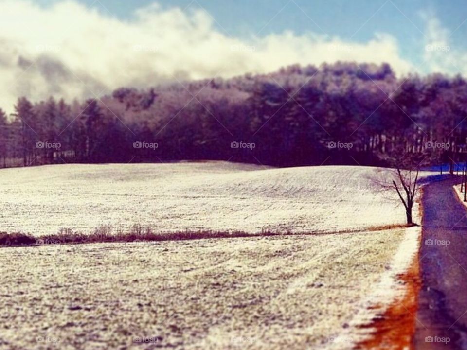 Snow field 