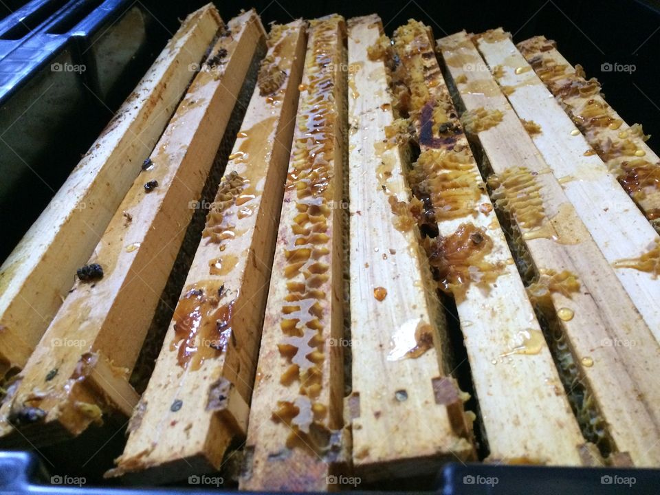 The racks full of honey from a beehive during honey harvest