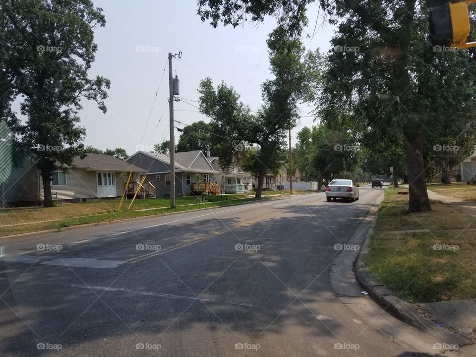 Road, Tree, No Person, Street, Guidance