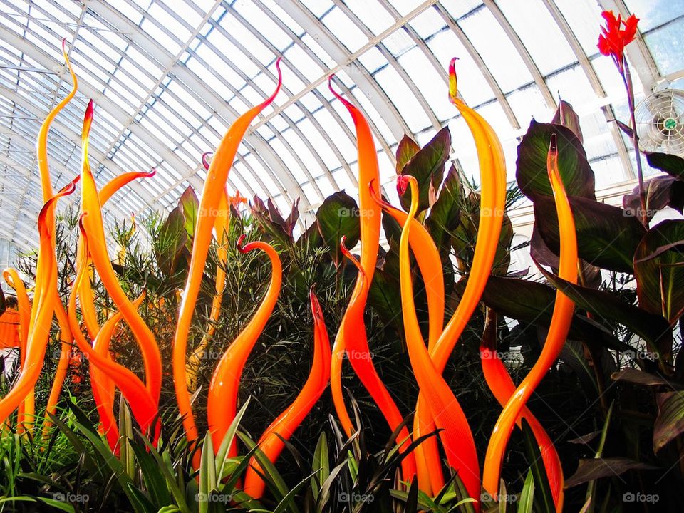 Dale Chihuly glass with plants