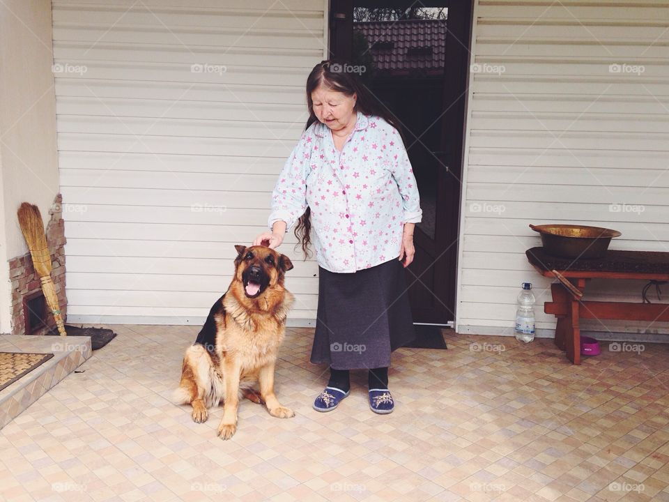 Long haired old woman petting a German dog in the yard 