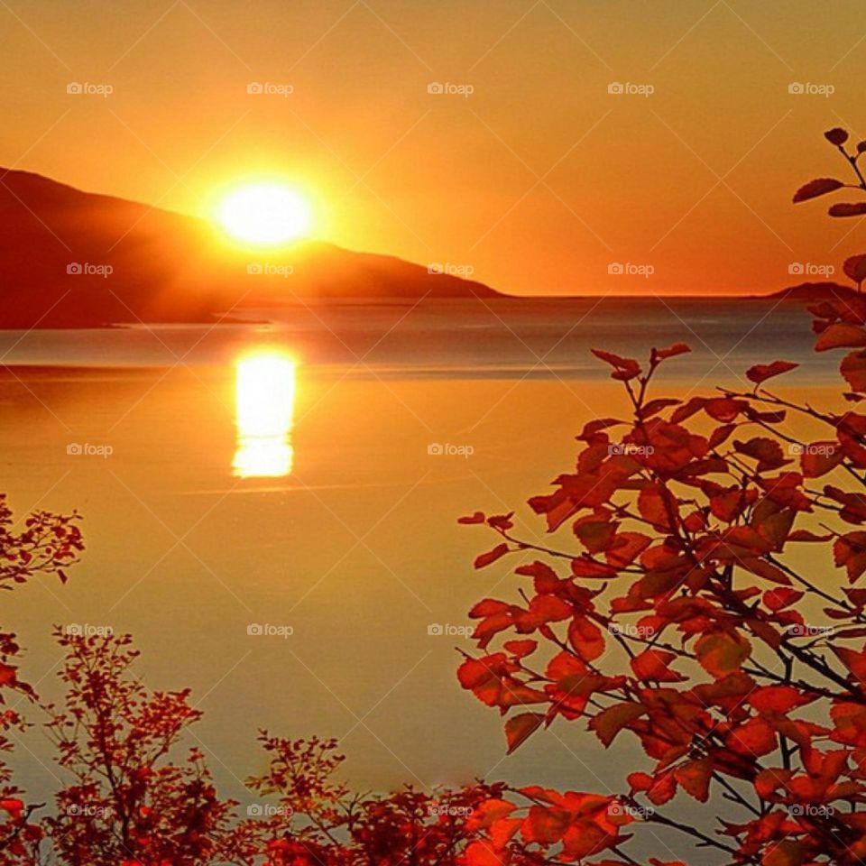 sunset, summer aethetic